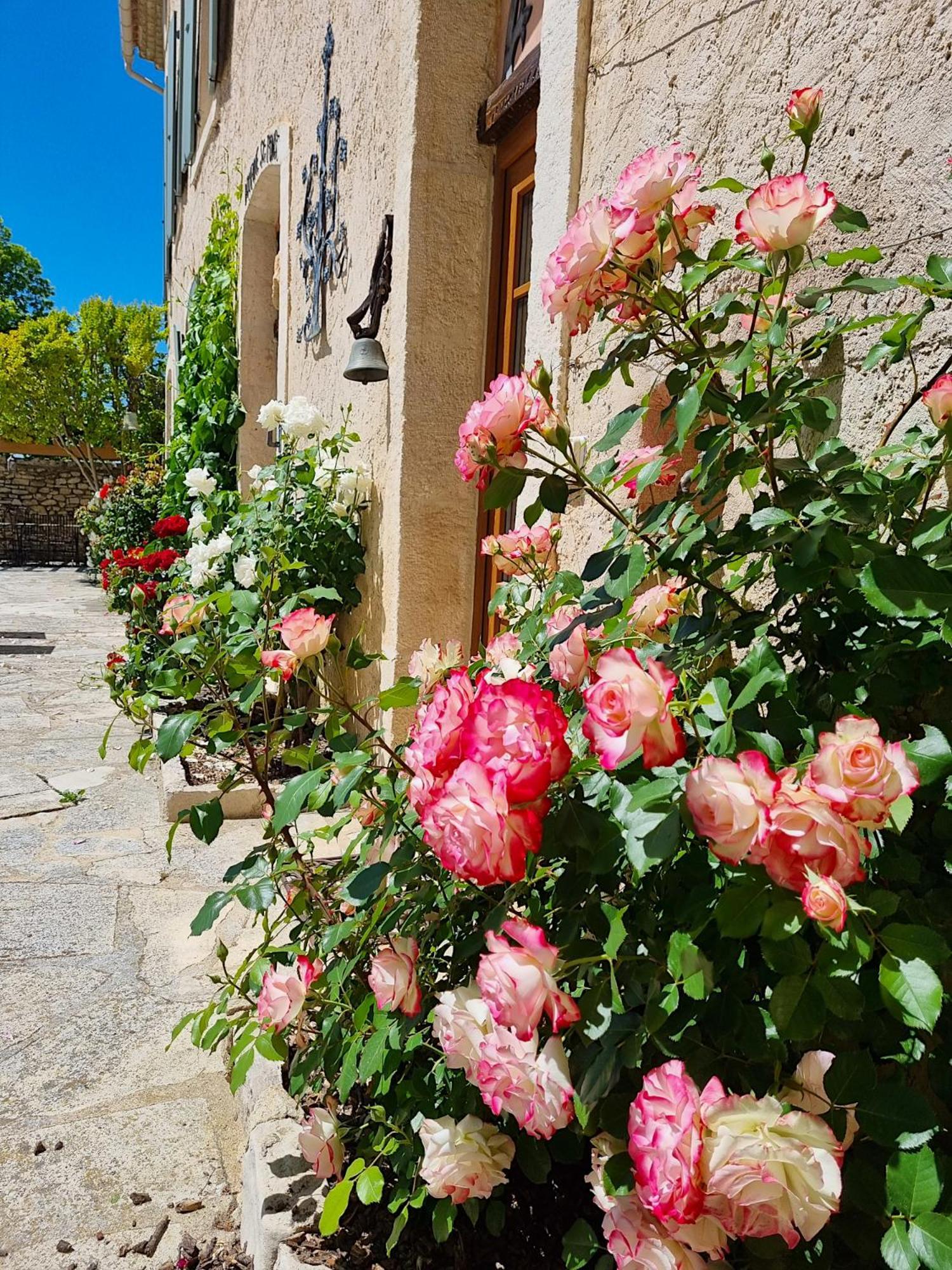 Domaine De Saint Pons Villars (Vaucluse)